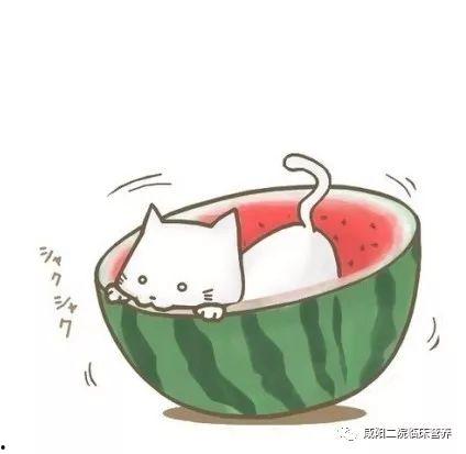 吃瓜卡通视频大全集图片,笑料横生的欢乐时光回顾