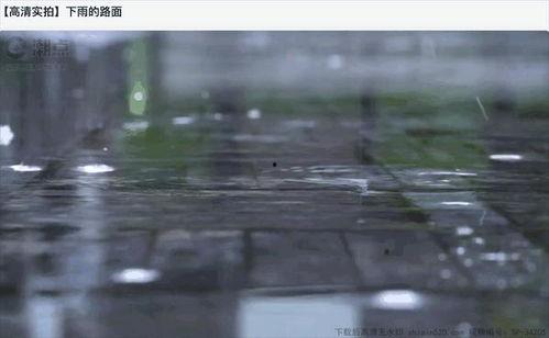 下雨天拍视频吃瓜